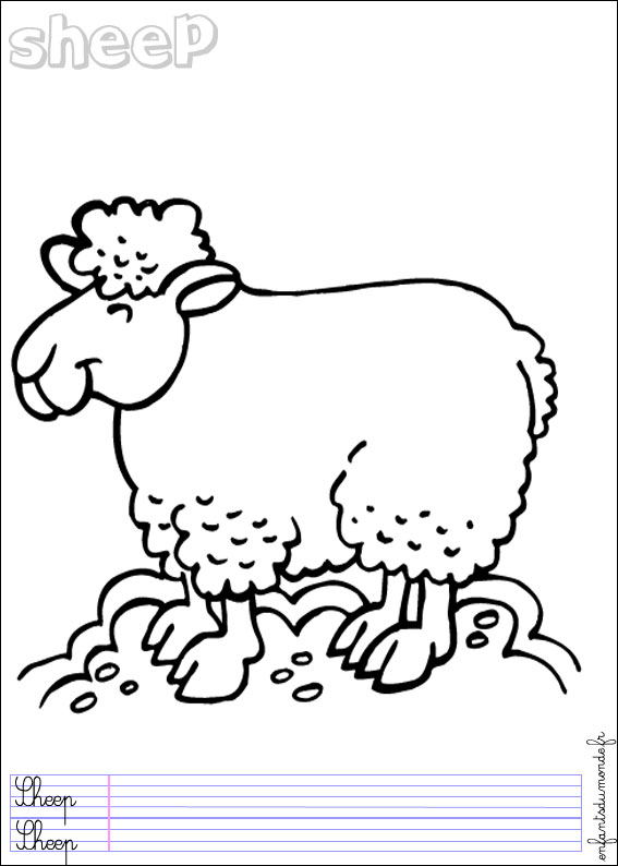 coloriage mouton 3